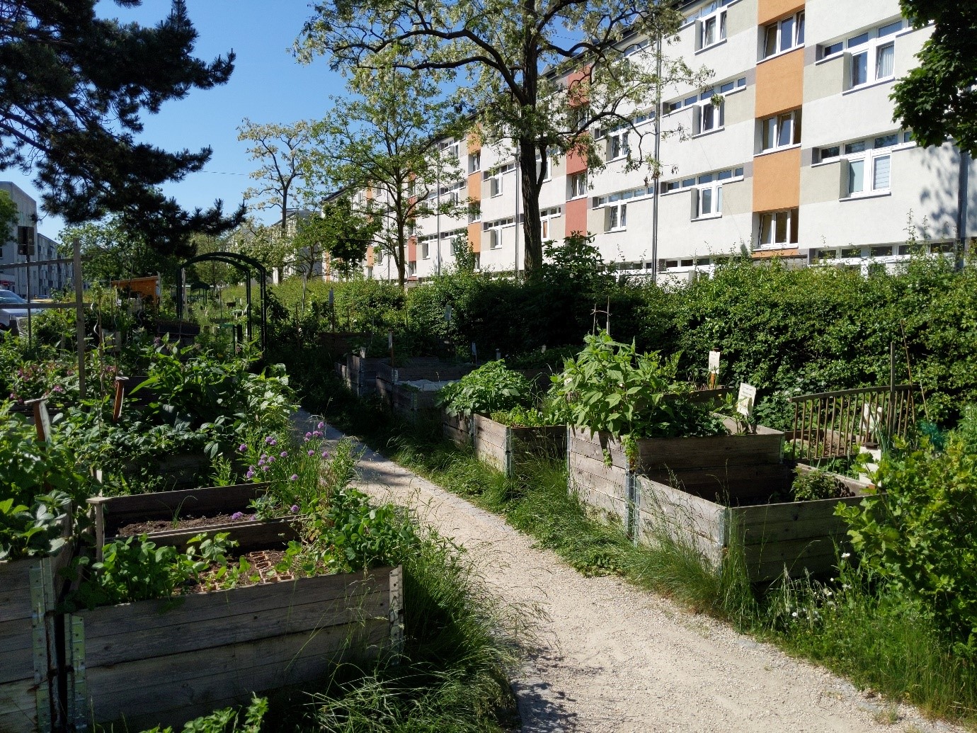 Urban Gardening